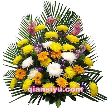 城中花圈